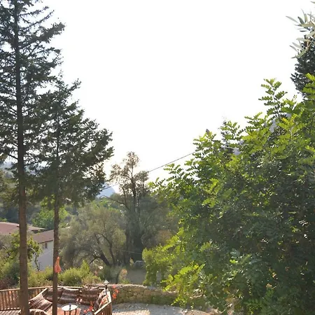 Baharoglu Life House Faralya Деревянный коттедж *