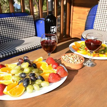 Baharoglu Life House Faralya *