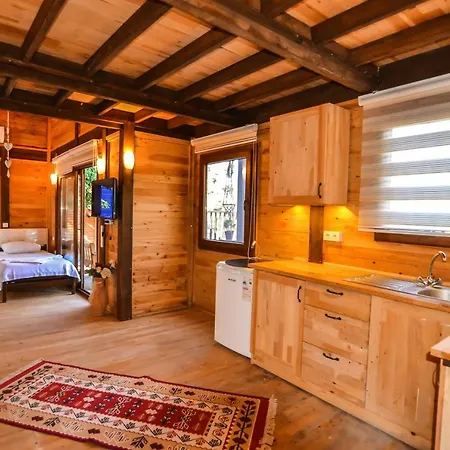 Baharoglu Life House Faralya Muğla