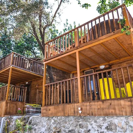 Baharoglu Life House Faralya Мугла