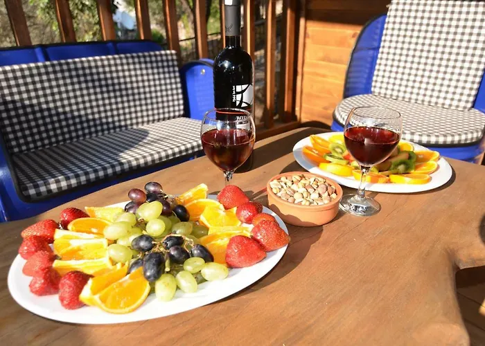 Baharoglu Life House Faralya *