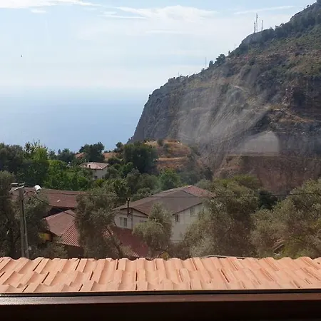 Baharoglu Life House Faralya ムーラ