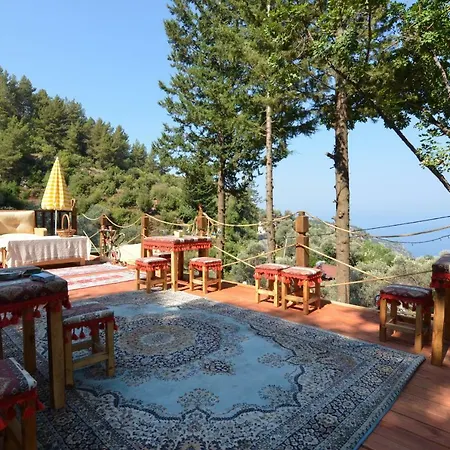 Baharoglu Life House Faralya ロッジ *