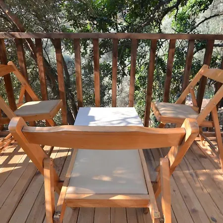 Baharoglu Life House Faralya * Muğla