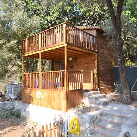 Baharoglu Life House Faralya *