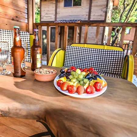 Baharoglu Life House Faralya * ムーラ