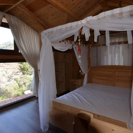 Baharoglu Life House Faralya * ムーラ