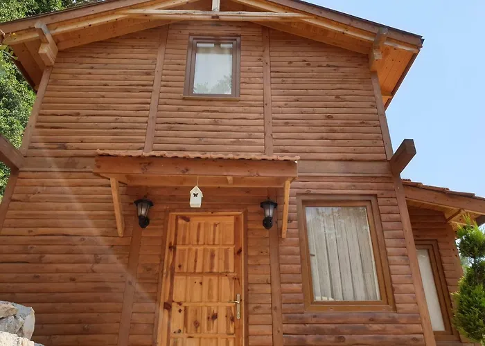 Orman Evi Baharoglu Life House Faralya