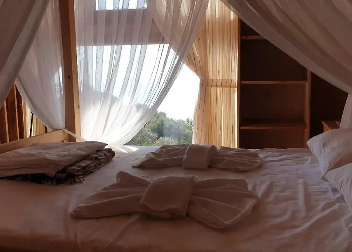 Orman Evi Baharoglu Life House Faralya *