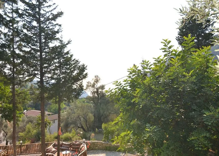 Baharoglu Life House Faralya Orman Evi *