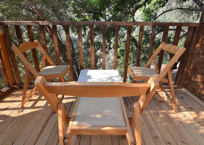 Baharoglu Life House Faralya * Muğla