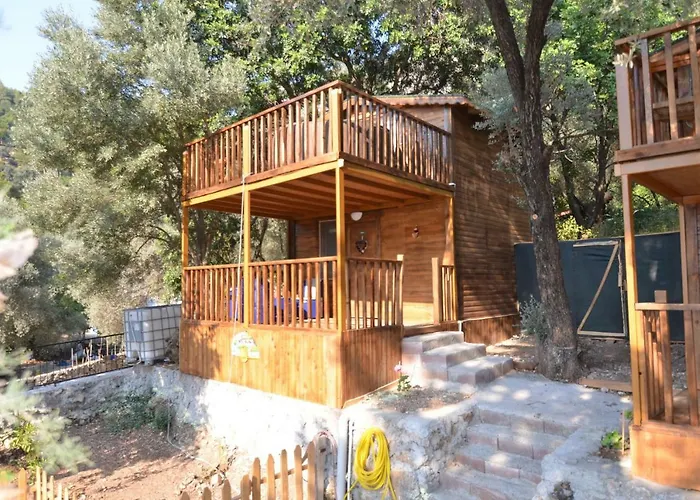 Baharoglu Life House Faralya *