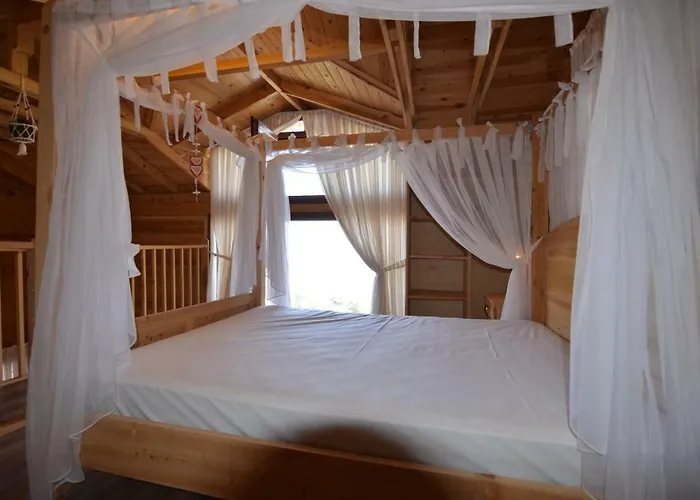 Orman Evi Baharoglu Life House Faralya *